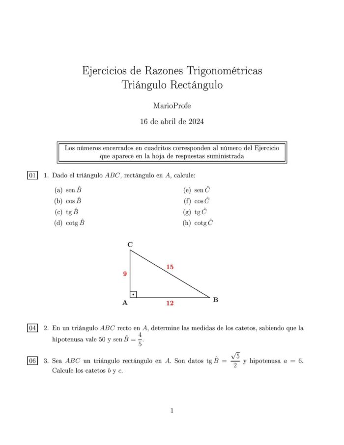 Ejercicios Resueltos de Razones Trigonométricas Triángulo Rectángulo MarioProfe