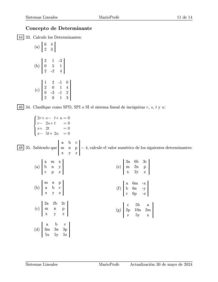 Ejercicios Resueltos de Sistemas Lineales y Determinantes: Guía 11 MarioProfe