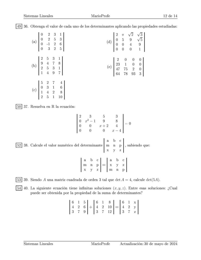 Ejercicios Resueltos de Sistemas Lineales y Determinantes: Guía 12 MarioProfe