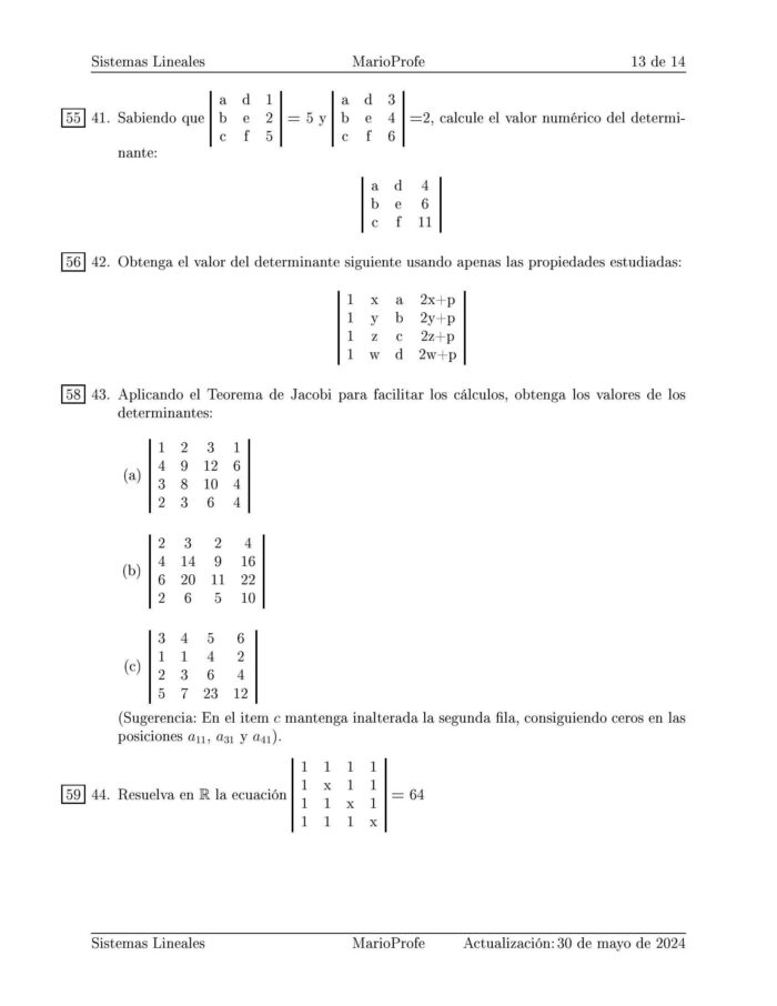 Ejercicios Resueltos de Sistemas Lineales y Determinantes: Guía 13 MarioProfe