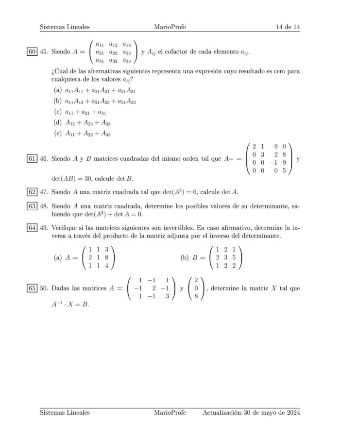 Ejercicios Resueltos de Sistemas Lineales y Determinantes: Guía 14 MarioProfe