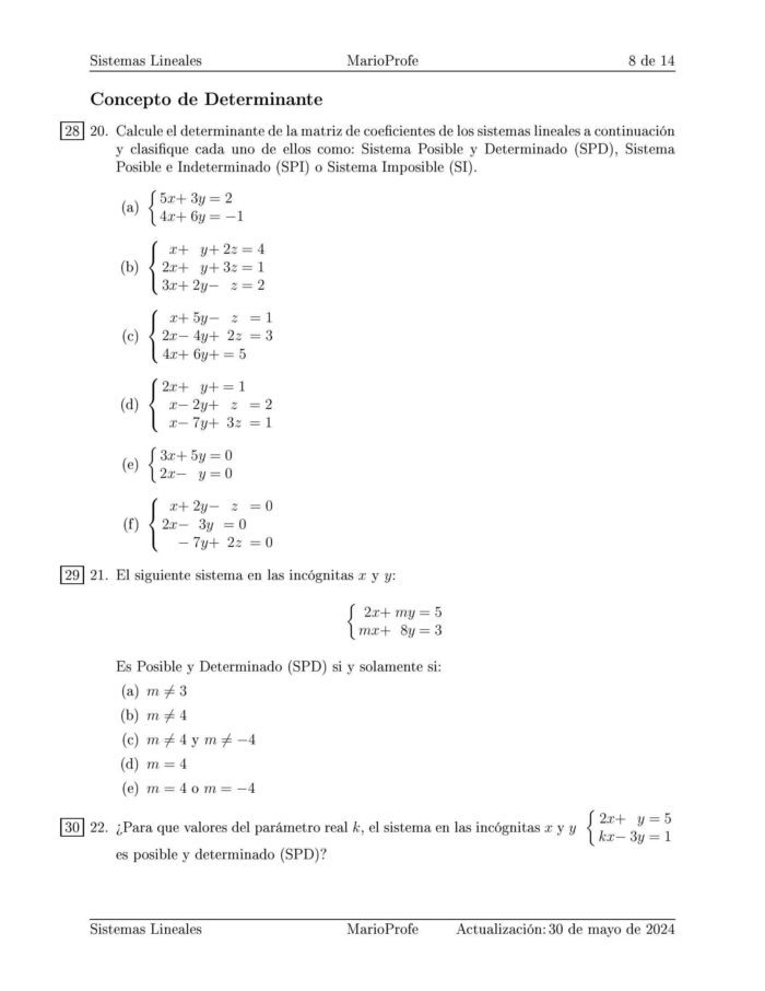 Ejercicios Resueltos de Sistemas Lineales y Determinantes: Guía 8 MarioProfe