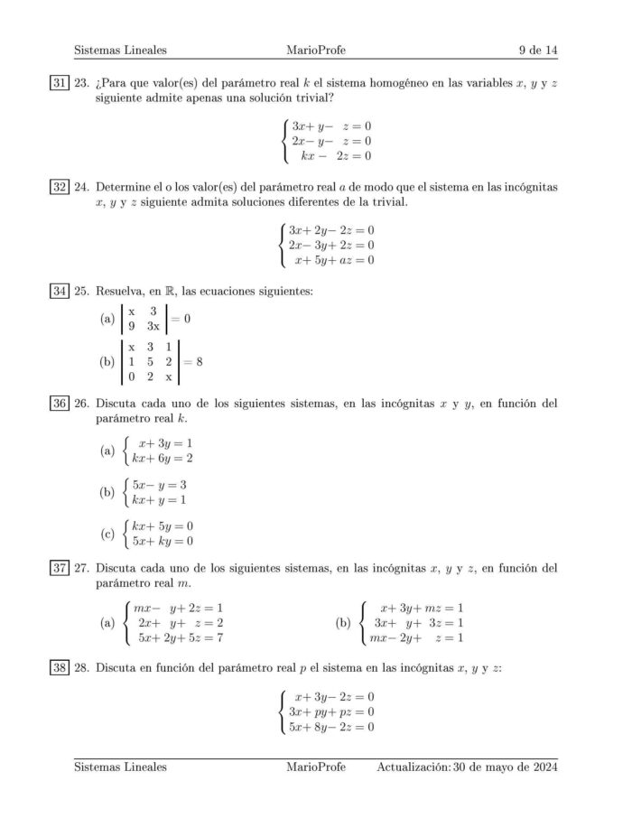 Ejercicios Resueltos de Sistemas Lineales y Determinantes: Guía 9 MarioProfe